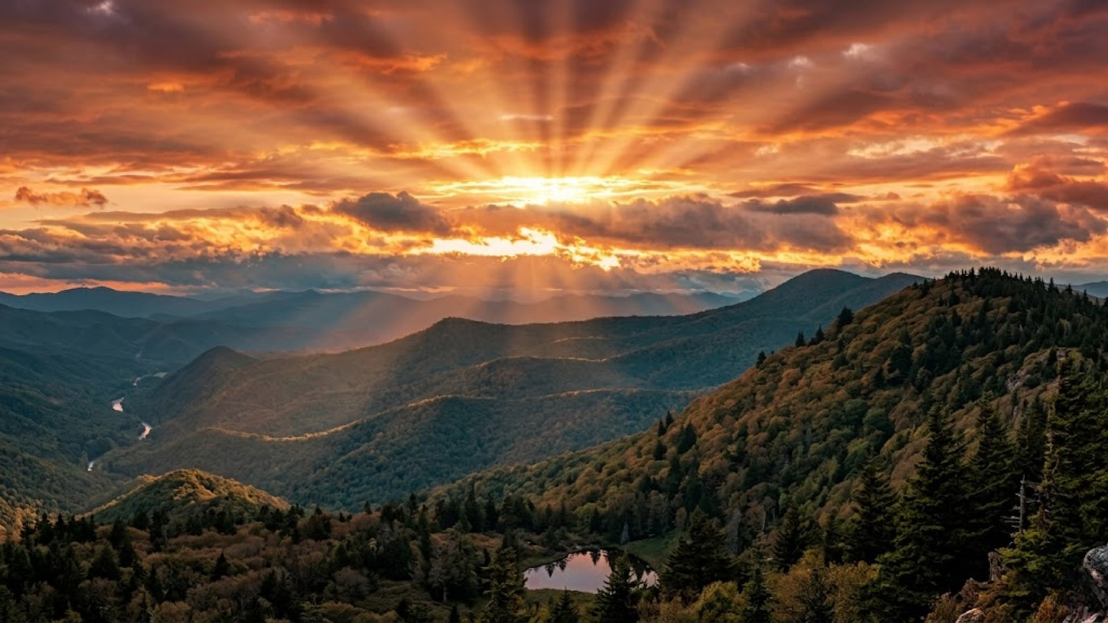 Is Kratom Legal In North Carolina State? Year 2026