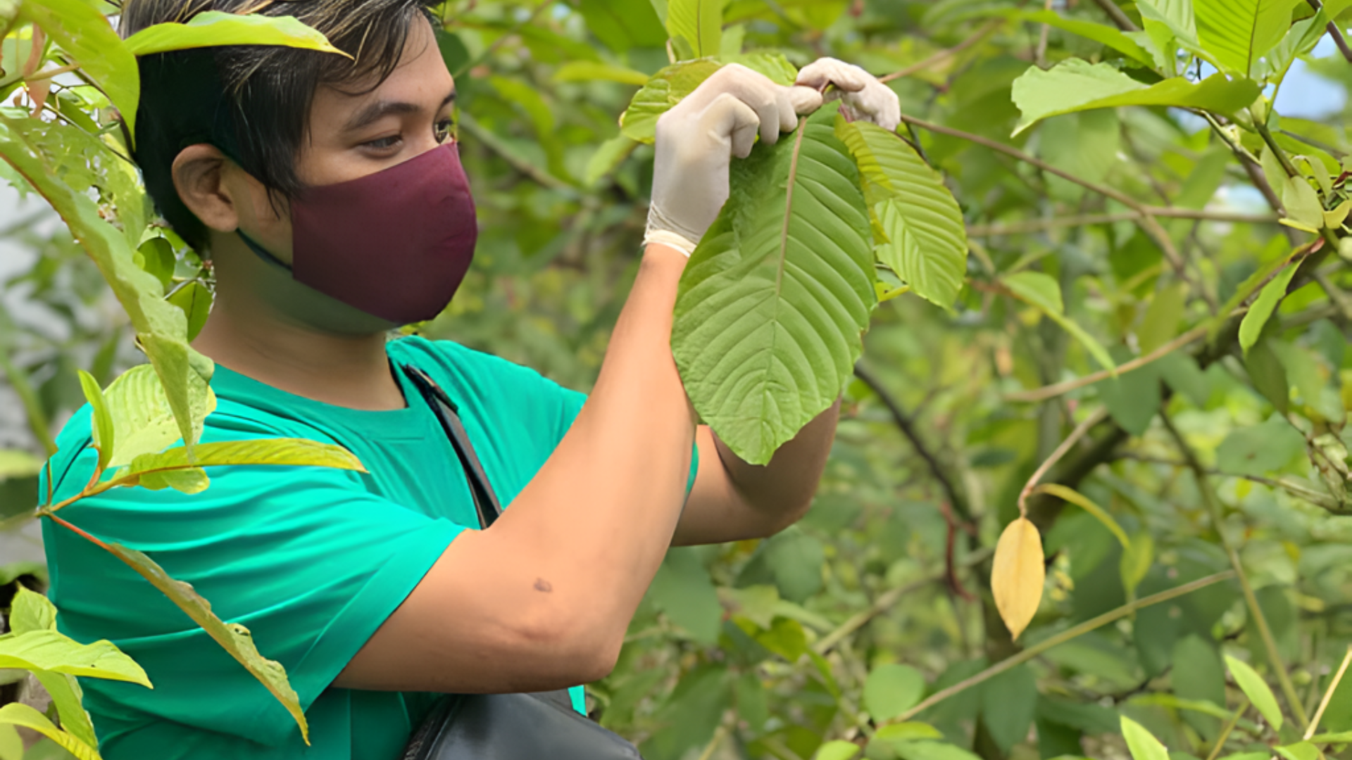 What is Over-Cultivation / Over-Farming? How GRH Works to Avoid it?