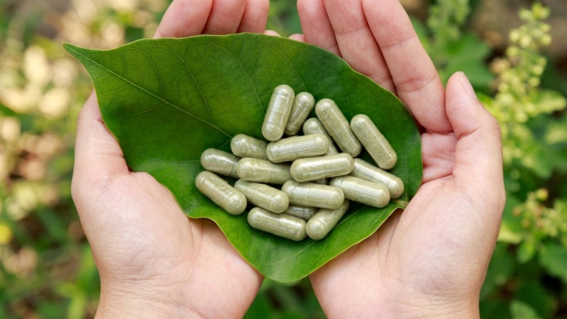 Choosing the Best Kratom Capsules