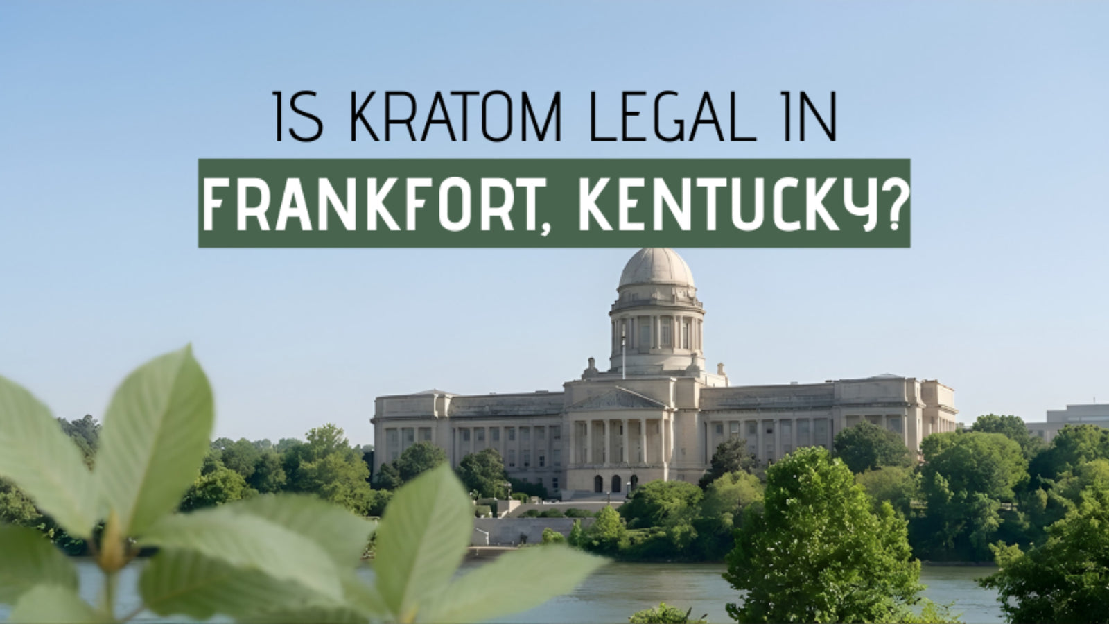 Is Kratom Legal in Frankfort, Kentucky?