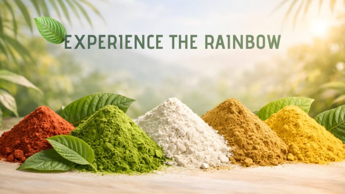 Kratom Vein Colors Explained: Red, Green, White, Gold