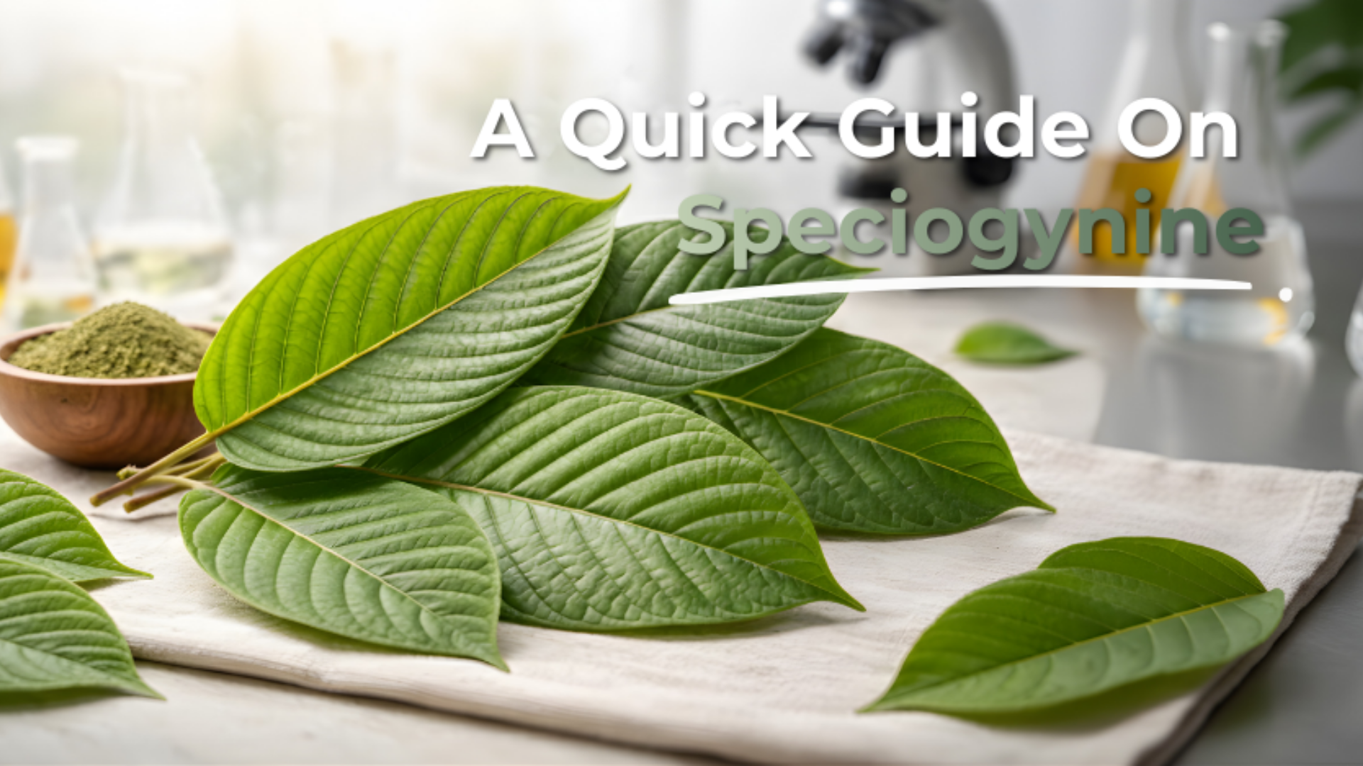 Speciogynine: Quick Guide
