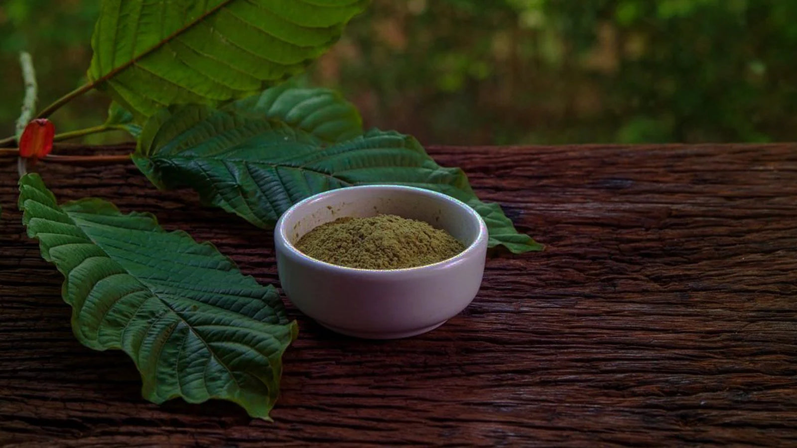 What Is Kratom And How Does Kratom work?