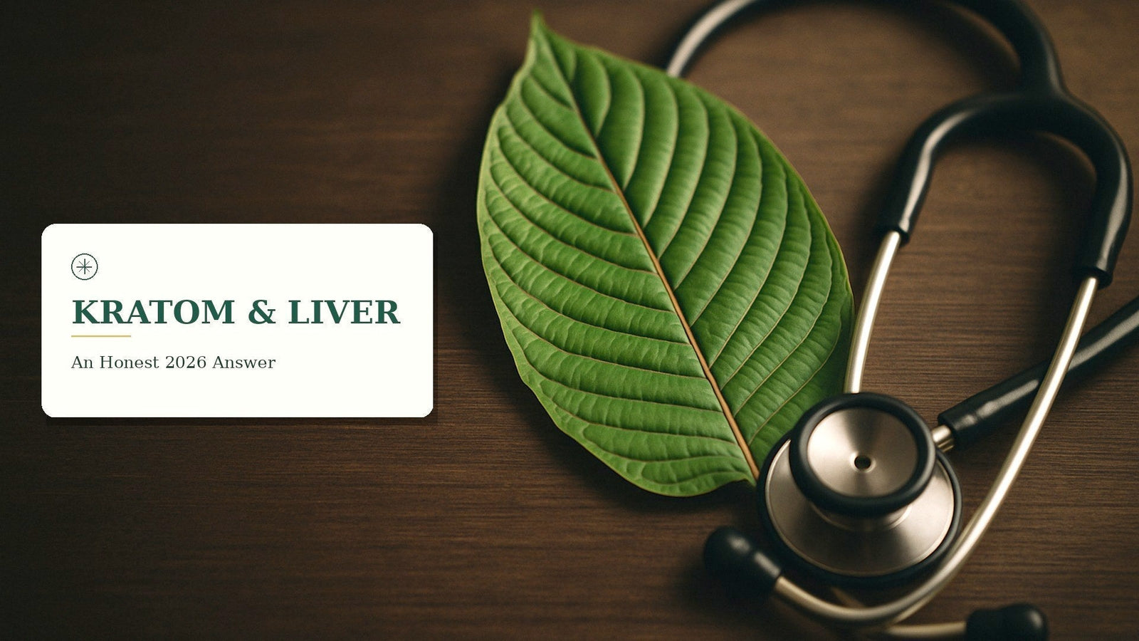 Is Kratom Bad for Your Liver? What Research Shows