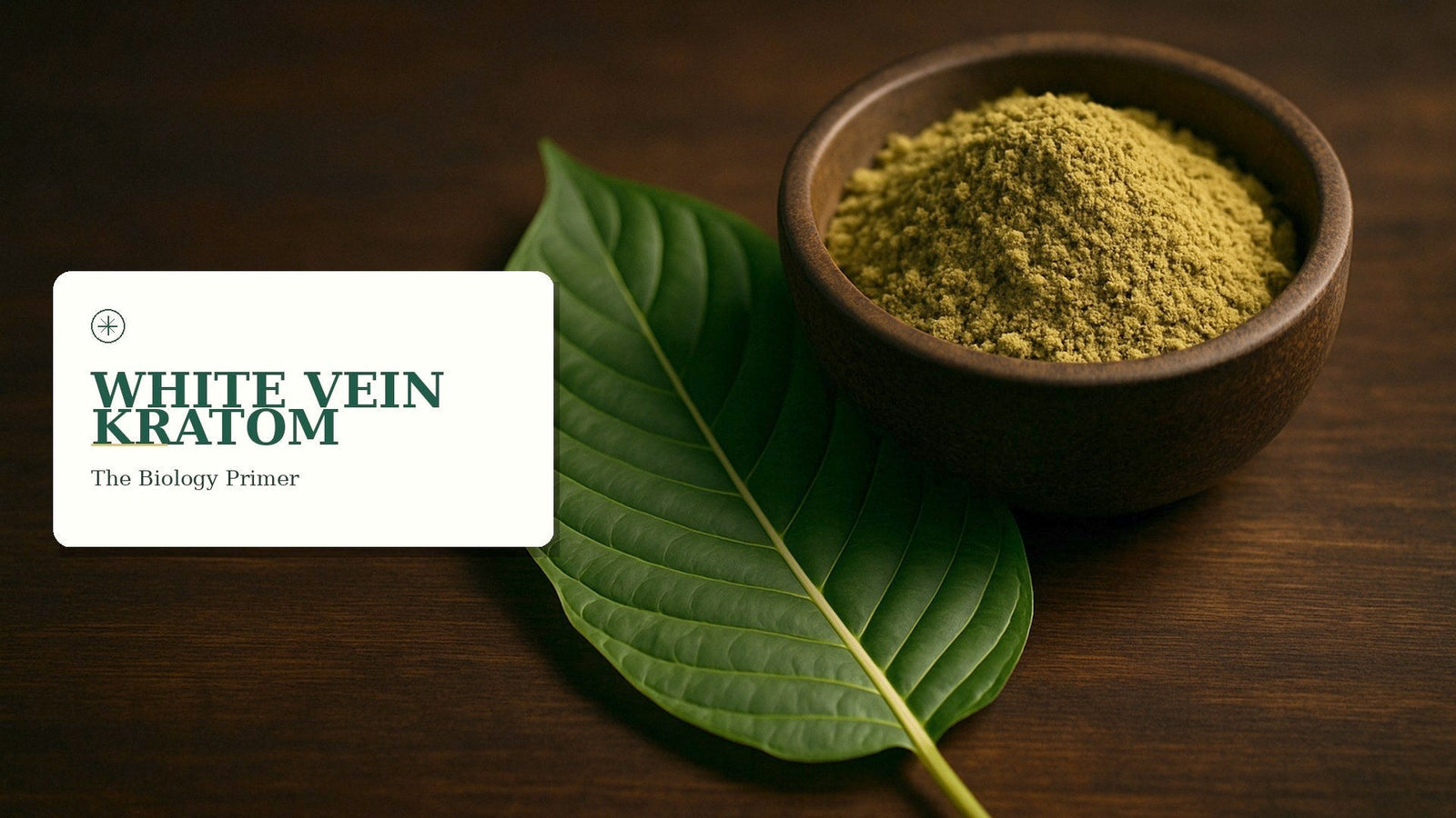 White Vein Kratom: Effects, Strains & Dosing