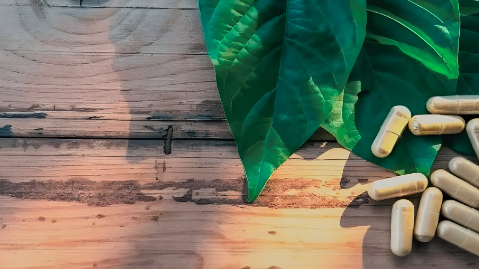 American Kratom Association Explained: What AKA Does for Kratom Users