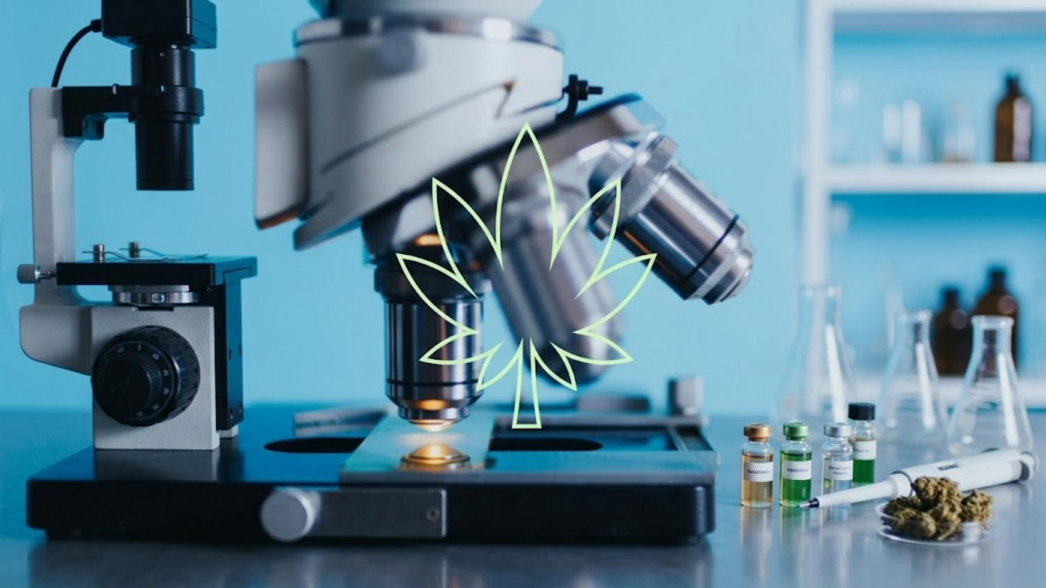 What is HHC? A Brief HHC Guide