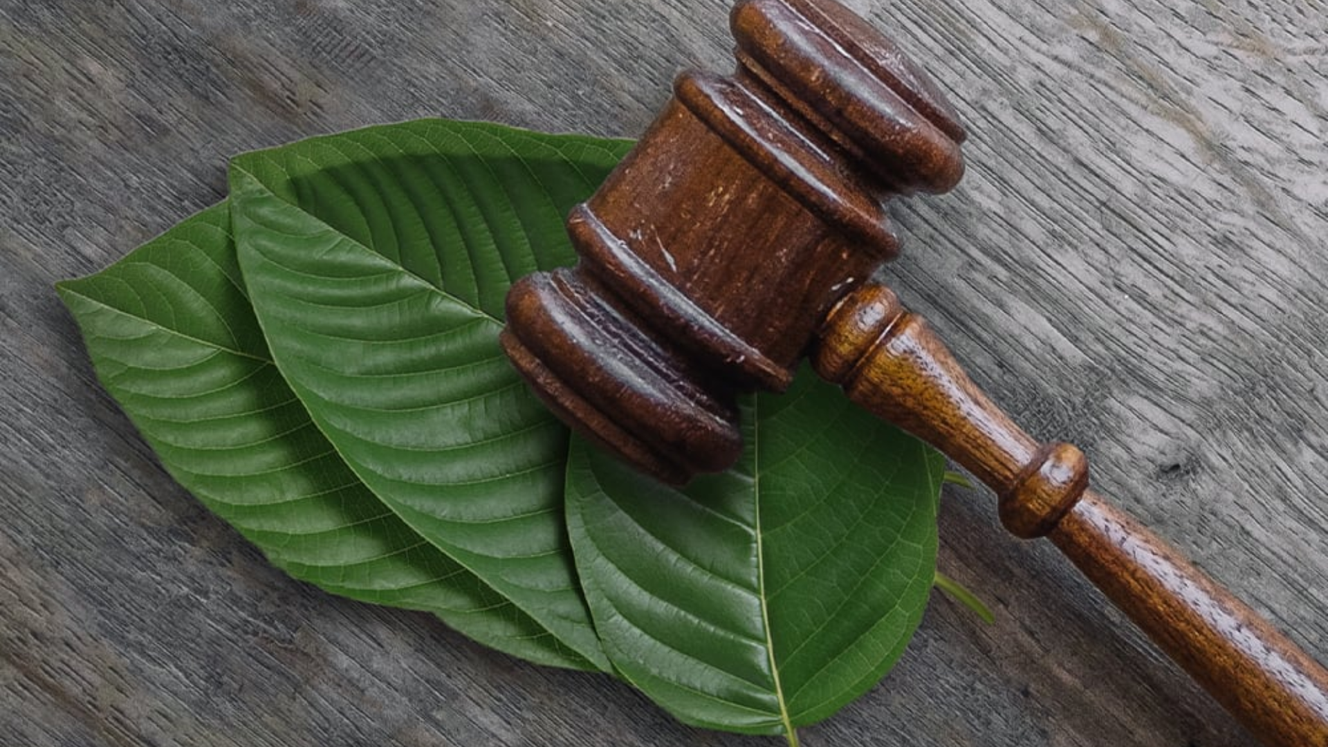 Is Kratom Legal In Florida State Year 2023