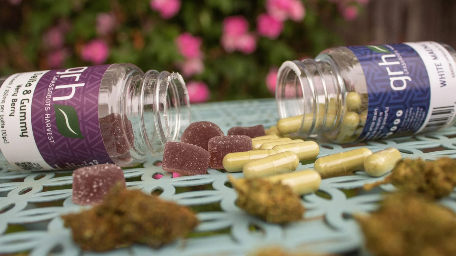 Kratom Extract vs Powder – What’s the Difference