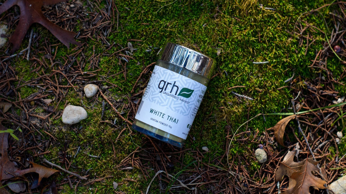 Header illustration for a GRH Kratom guide to white vein kratom.