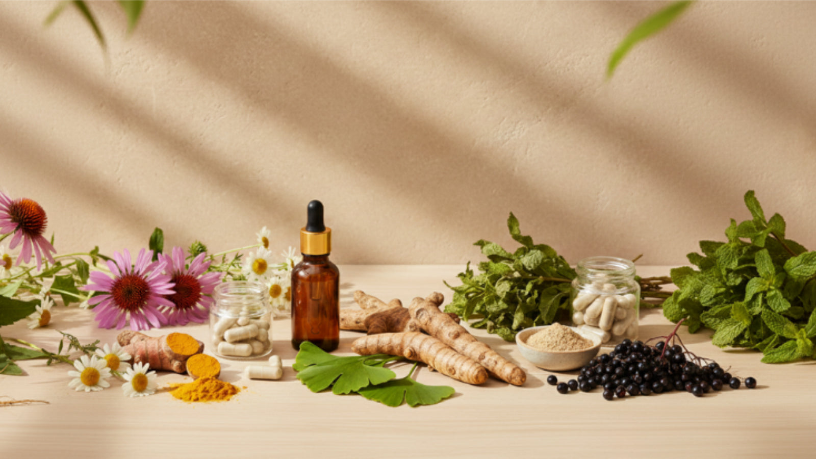 Herbal Supplements for Self-Care: Benefits & How They Work