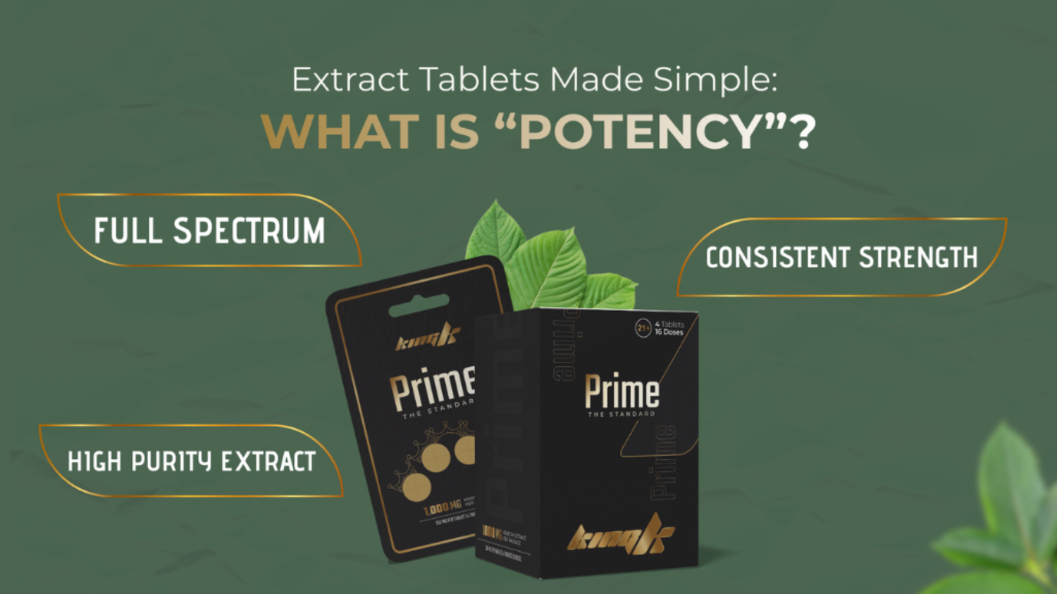 GRH Kratom blog header reading 'Extract Tablets Made Simple: What Is Potency?', set over a GRH kratom liquid extract bottle.