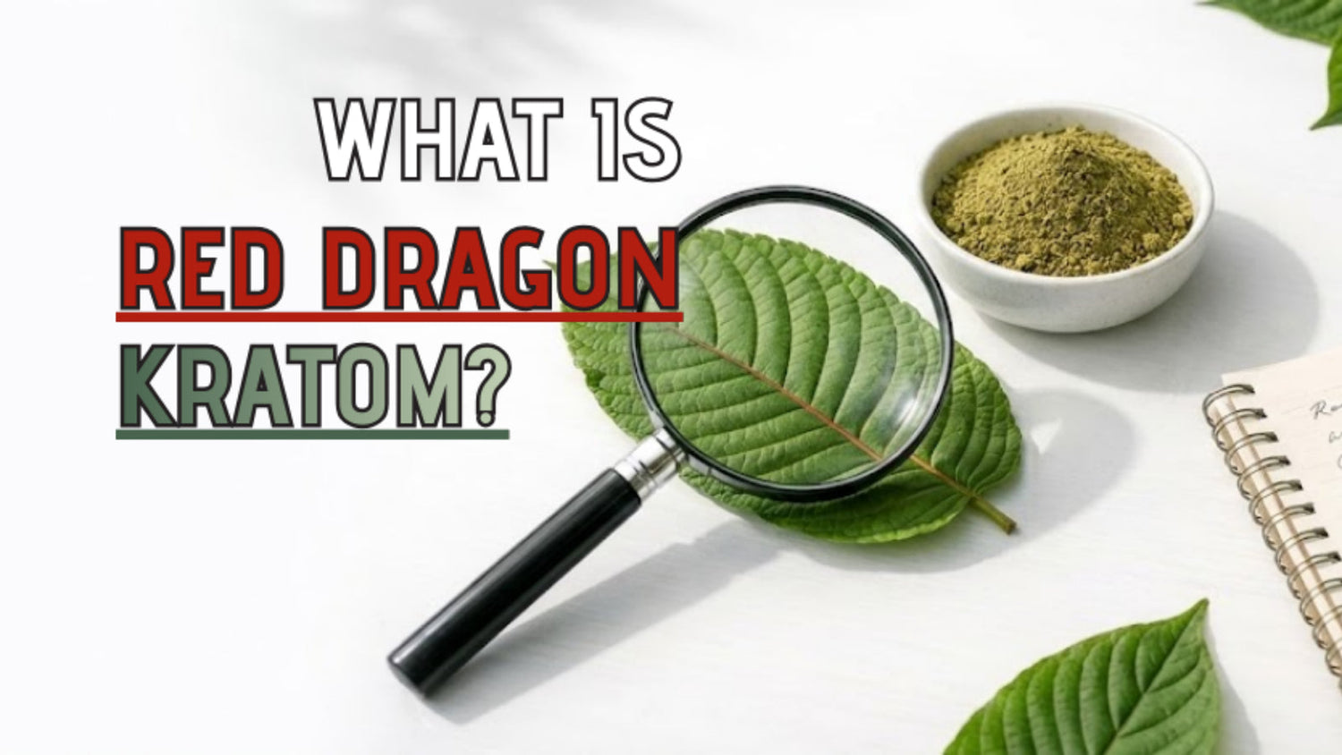 What Is Red Dragon Kratom? Real or Just Marketing