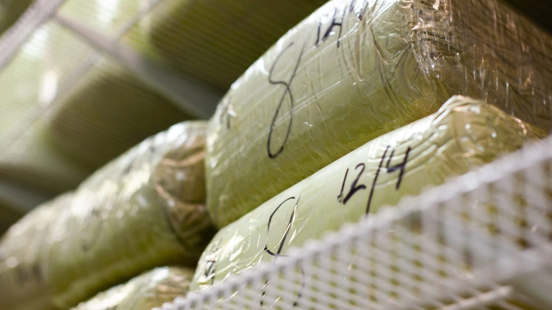What is White Elephant Kratom