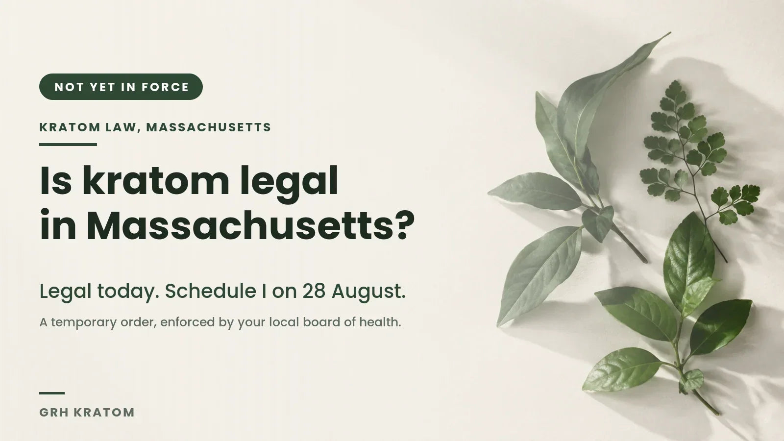 Is kratom legal in Massachusetts banner showing the Commonwealth outline beside the date 28 August 2026, when a temporary Department of Public Health order places kratom in Schedule I under state law