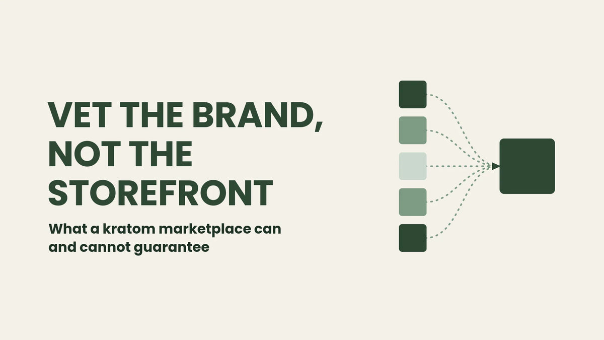 Blog header reading Vet the brand, not the storefront, with five differently shaded squares funnelling into one large square to represent many suppliers feeding a single shop