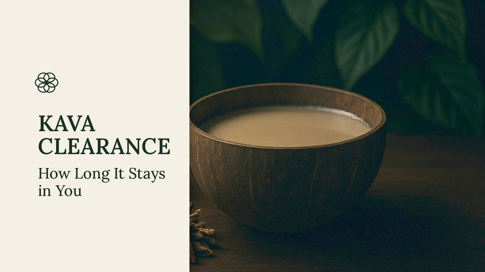 How Long Does Kava Stay in Your System?