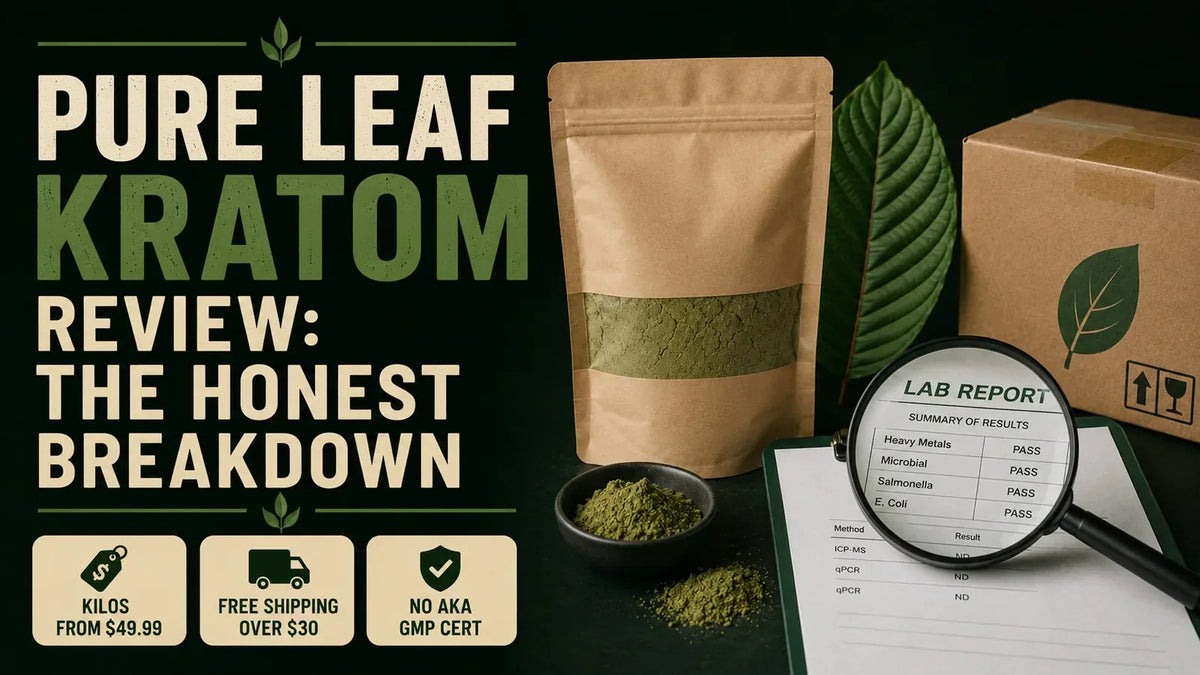 Pure Leaf Kratom review educational hero: kraft powder pouch, green kratom leaf, shipping box and a magnified lab report, with callouts kilos from $49.99, free shipping over $30, no AKA GMP cert