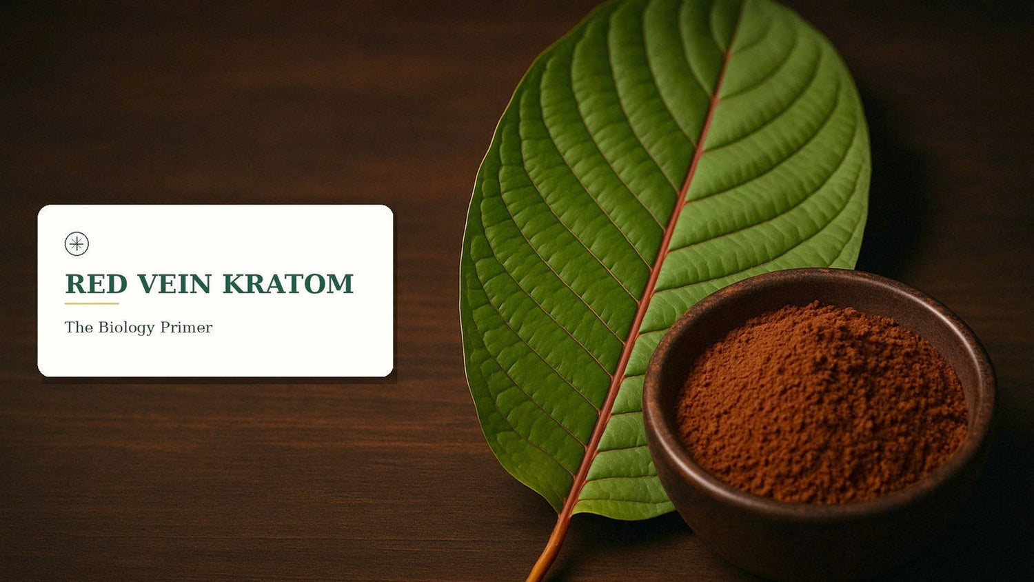 Red Vein Kratom: What It Actually Is, How the Leaf Biology Works