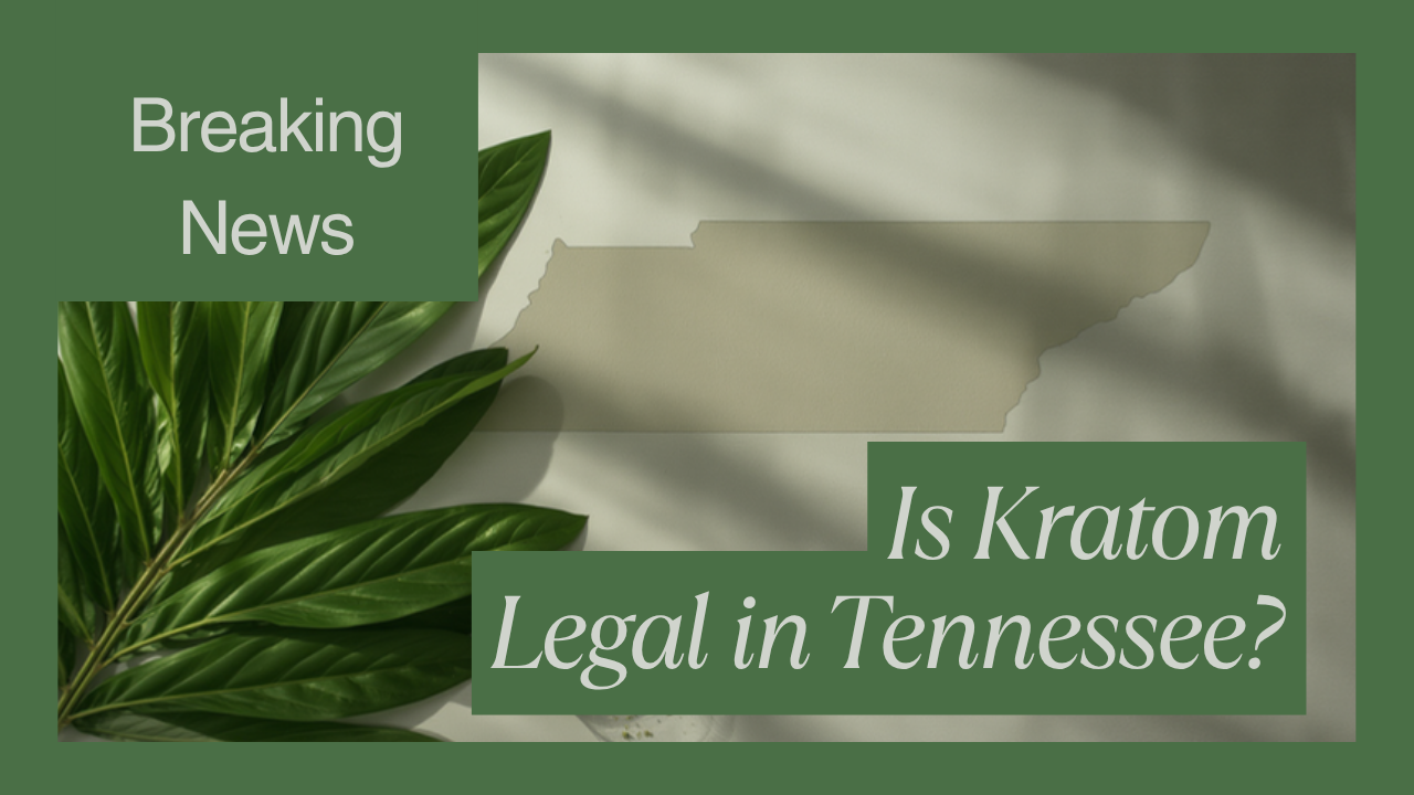 Is kratom legal in Tennessee 2026, kratom leaf and powder beside a Tennessee state map outline