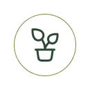 Lab Tested for Purity