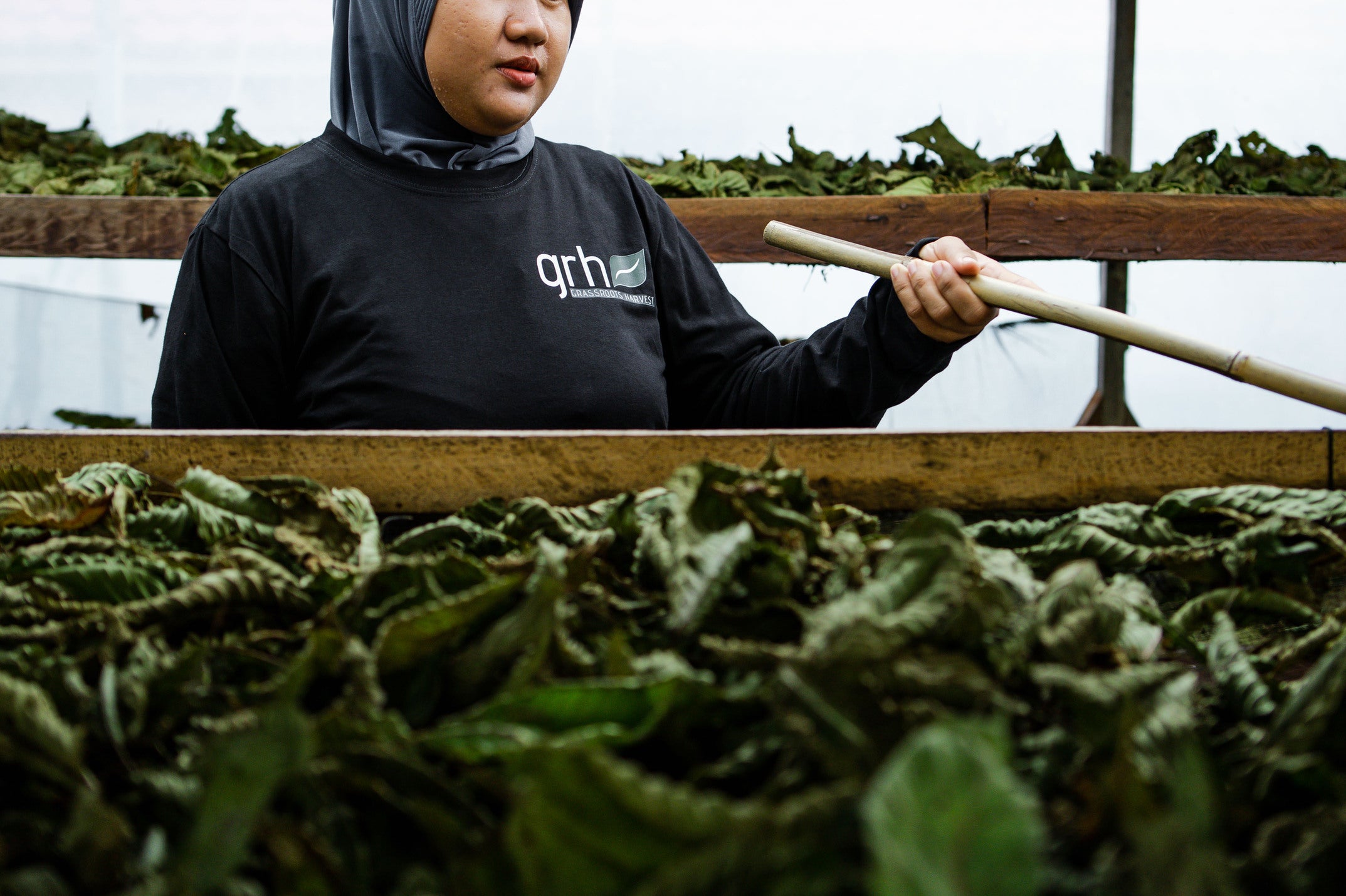 GRH Kratom & Botanicals