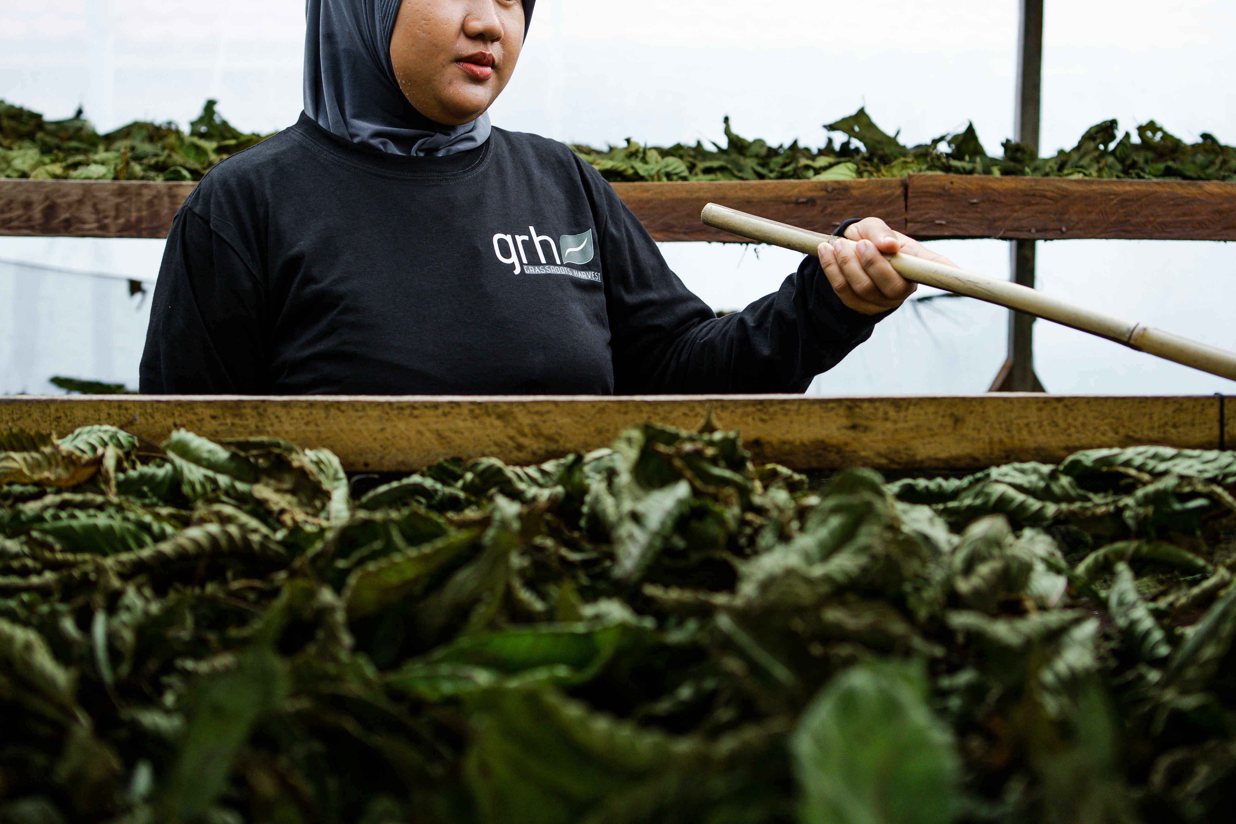 GRH Kratom & Botanicals