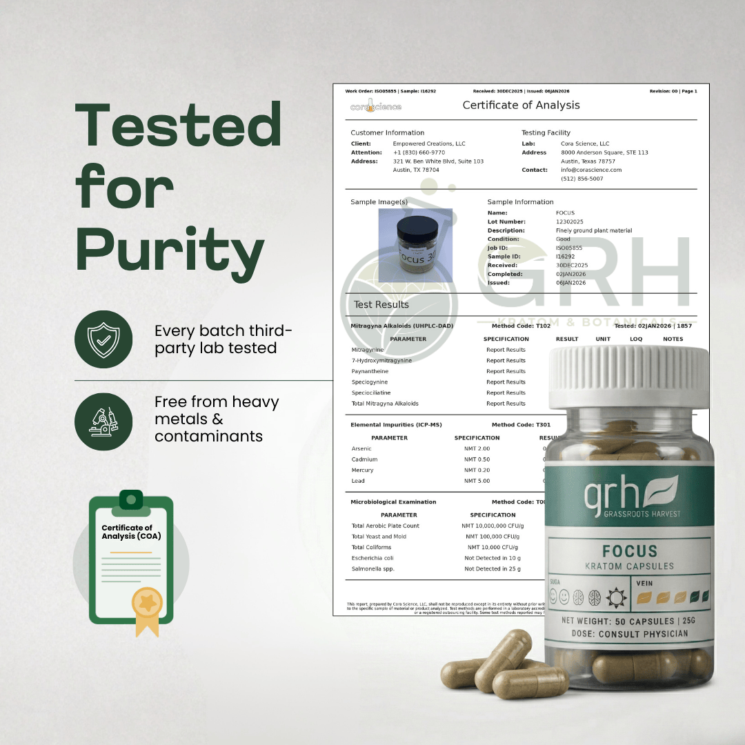 Focus Blend Kratom Capsules Kratom Capsules GRH Kratom