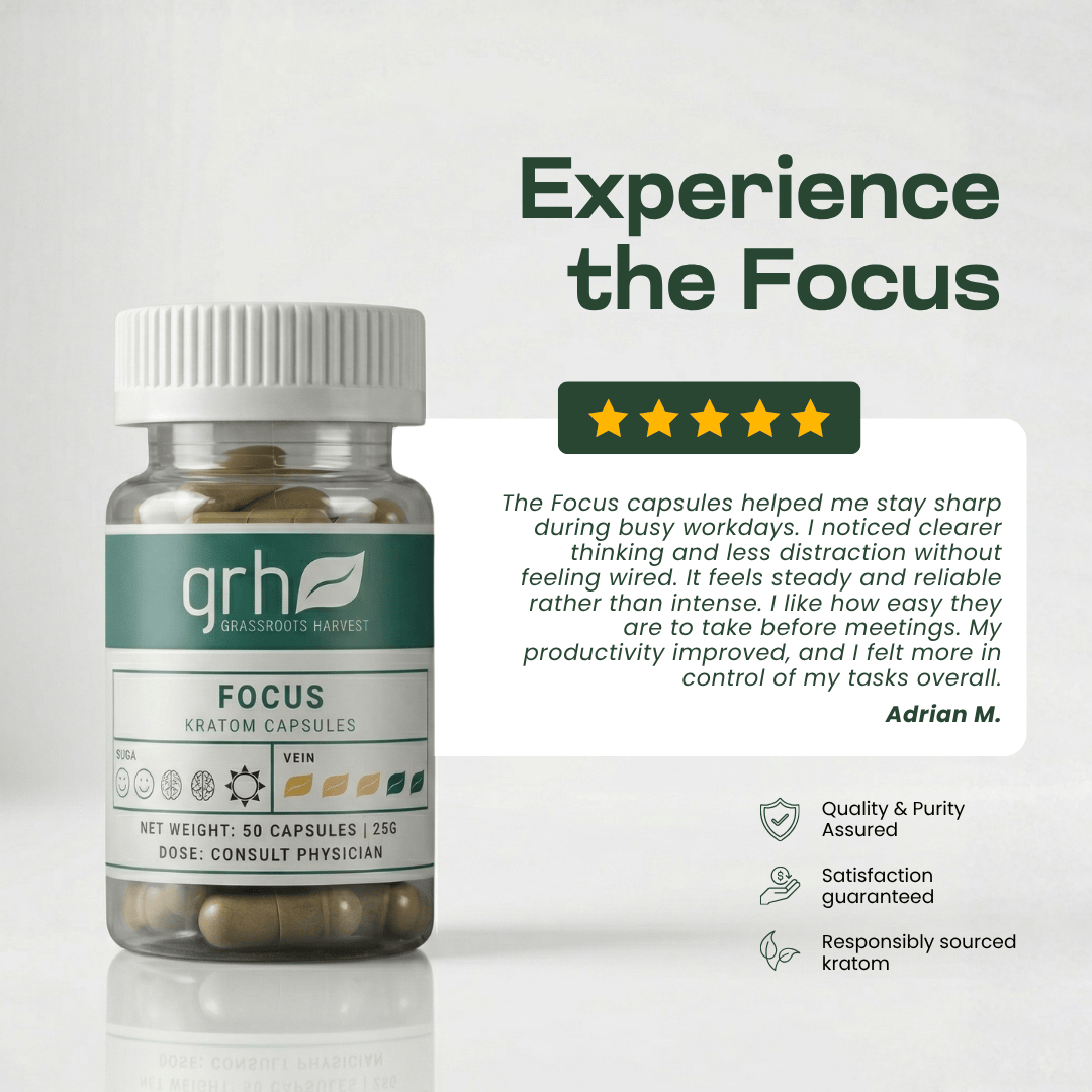 Focus Blend Kratom Capsules Kratom Capsules GRH Kratom