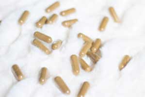 Capsules filled with kratom powder, showing one of the various options for consumption.