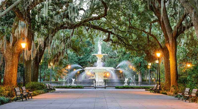 Is Kratom Legal in Georgia by Oasis Kratom