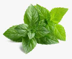 Energy With Peppermint