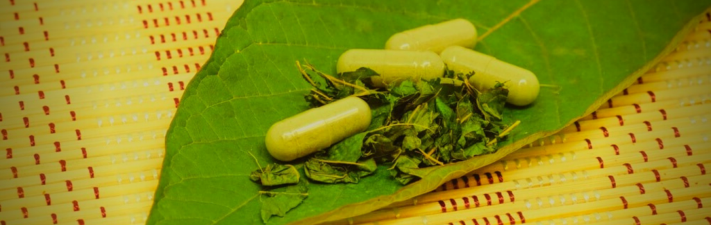 Kratom vietnam 1