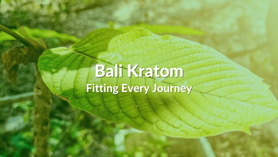 A picture of a Bali Kratom leaf with a text in the middle saying “Bali Kratom: Fitting Every Journey”