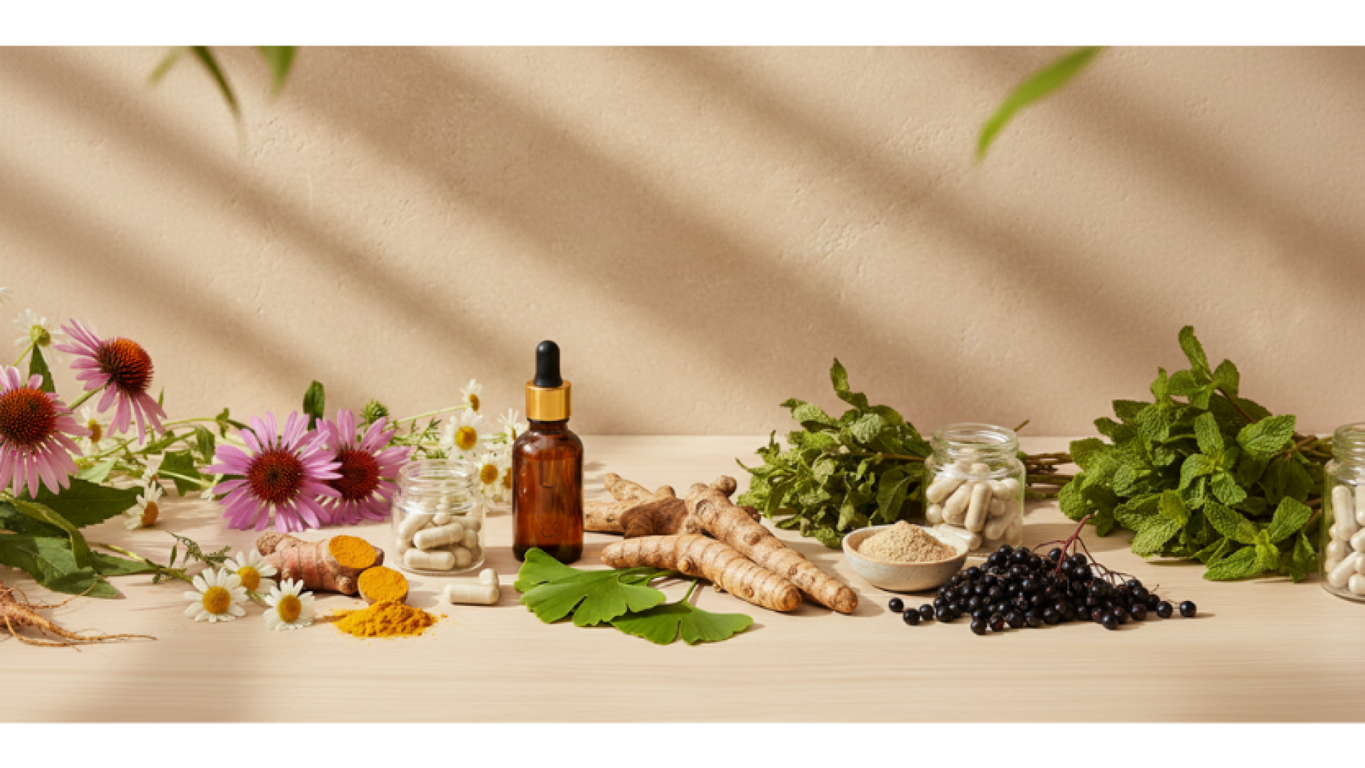 The Role of Herbal Supplements in Modern Self-Care