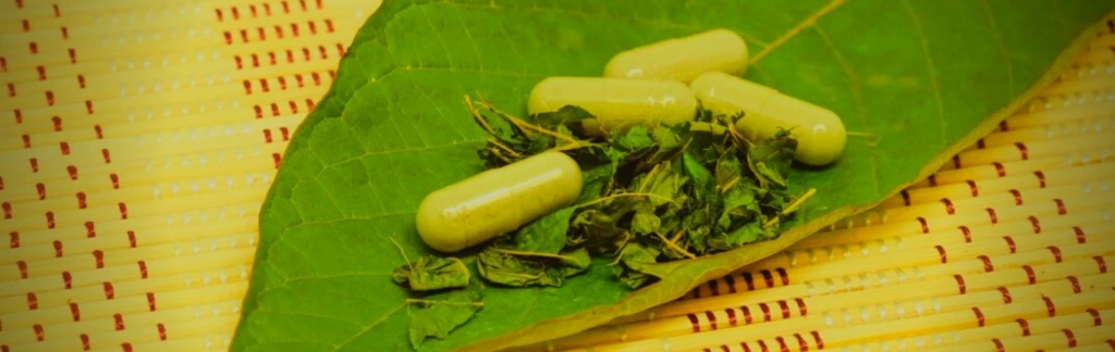 Kratom vietnam