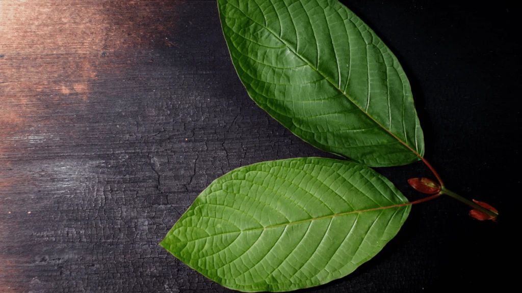 buykratomonlinekratomdelivery 1 min